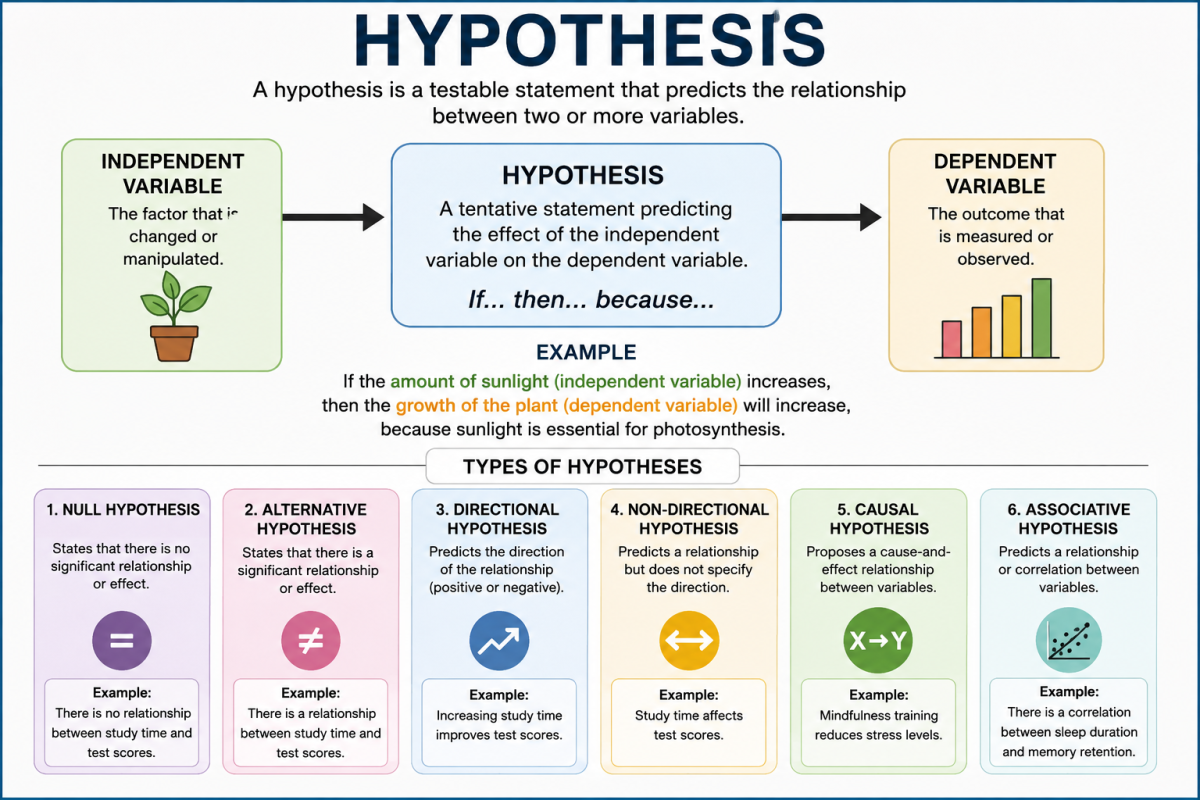 Types of Hypotheses Image